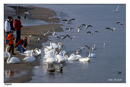 Sopot - przy play