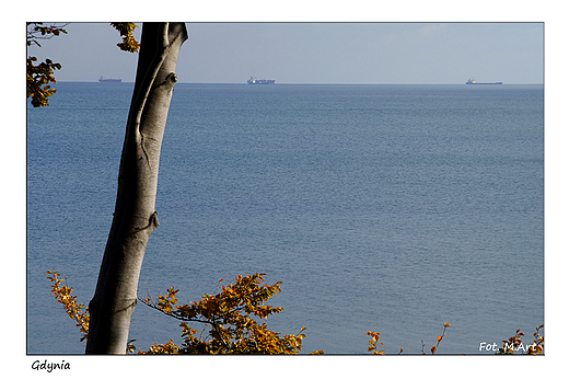 Gdynia Orowo - zota, polska jesie nad morzem