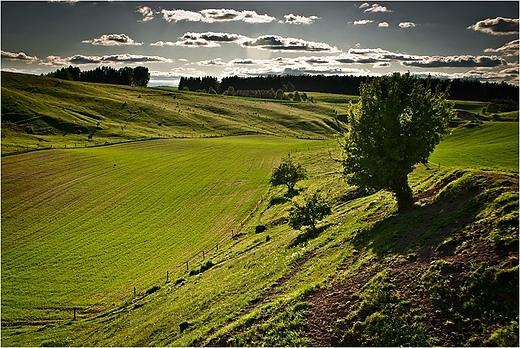 Suwalski Park Krajobrazowy .