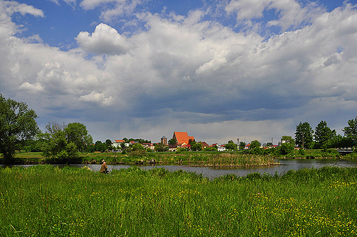 Panorama Wilicy z nad starorzecza Nidy