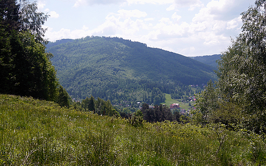 Beskid lski w okolicy wsi Brenna.