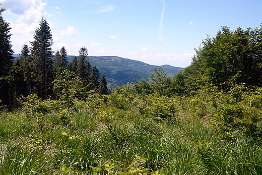 Beskid lski widziany z okolic Brennej.