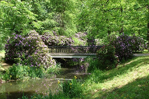 Park zamkowy w Mosznej