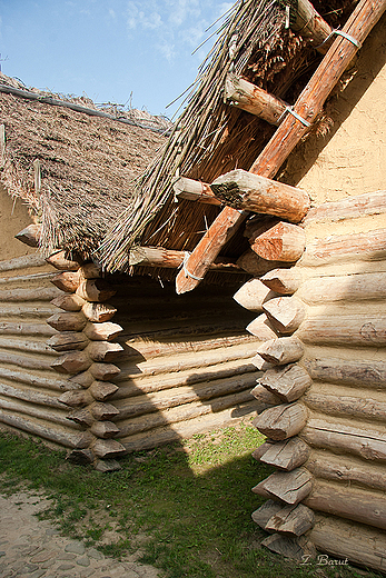 Karpacka Troja - park archeologiczny