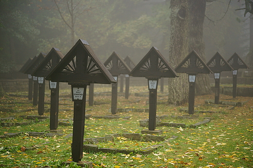 Cmentarz wojenny nr 60 na Przeczy Maastowskiej