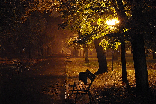 Radom w padziernikow noc. Park miejski im. T. Kociuszki