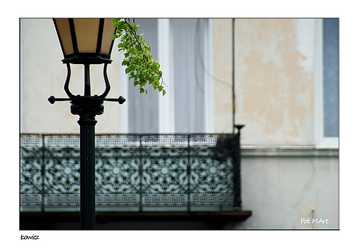 �owicz - Nowy Rynek: Jeden z trzech zachowanych w pierwotnej formie tr�jk�tnych rynk�w w Europie, obok Bonn i Pary�a