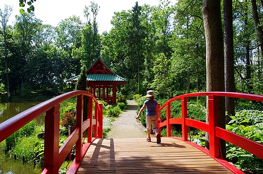 Park w kompleksie paacowym Mierzcin