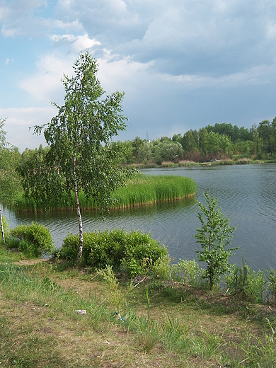 Wiosna nad stawem