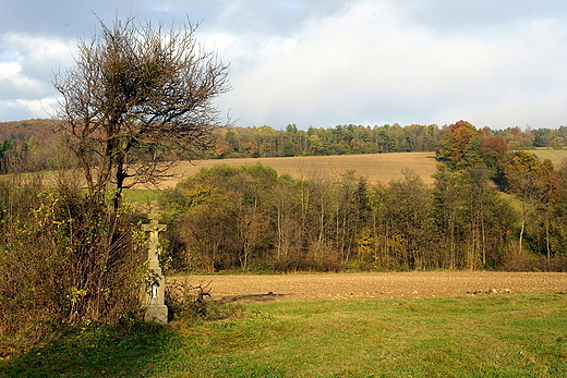 Okolice Owczar. Beskid Niski