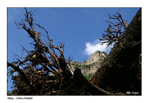 Tatry - Dolina Roztoki