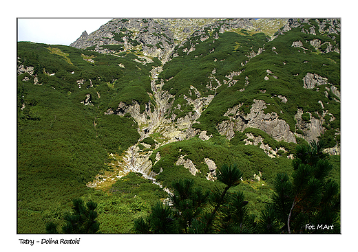 Tatry - Dolina Roztoki