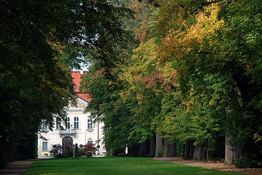 Otoczony parkiem paac w Nieborowie