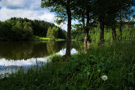 Suwalski Park Krajobrazowy. Jezioro Kluczysko.