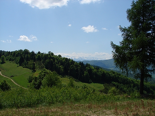 Tatry z Okrglicy Pnocnej