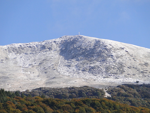 Tarnica