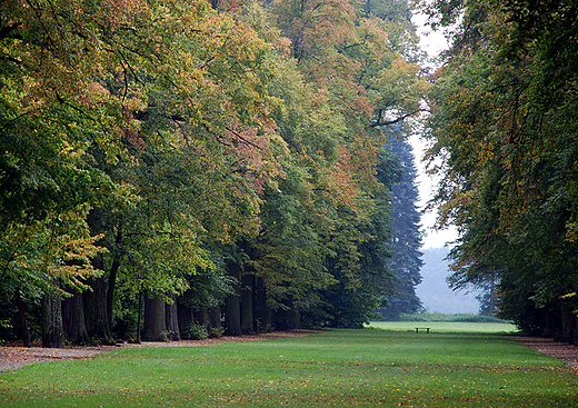 Monumentalna aleja lip. Park w Nieborowie