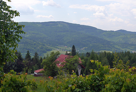 Brenna. Widok na Beskid lski.