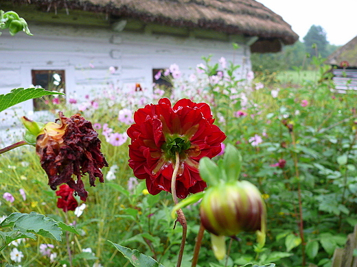 Skansen w Sanoku