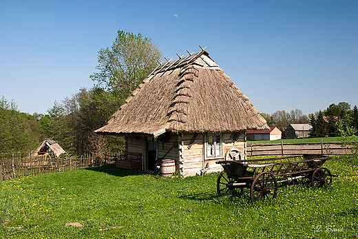 skansen Wojciechosko Zagroda