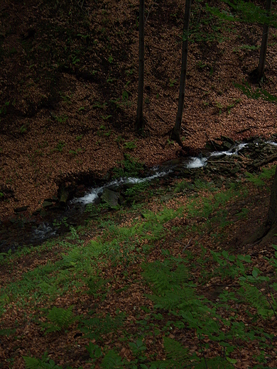 Szlak harcerski na Batni