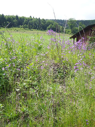 Beskidzkie klimaty