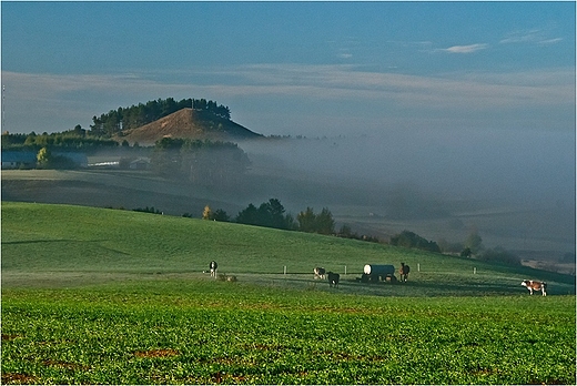 Suwalski Park Krajobrazowy - krajobraz z Gr Cisow.