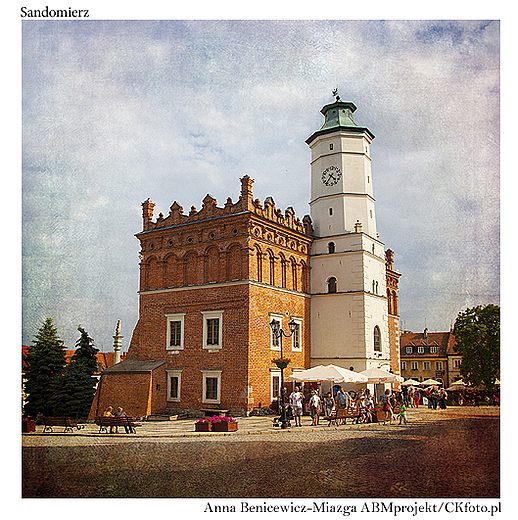 Sandomierz 5