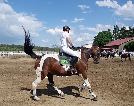 Regionalne Zawody Jedzieckie 9-10 czerwca 2012