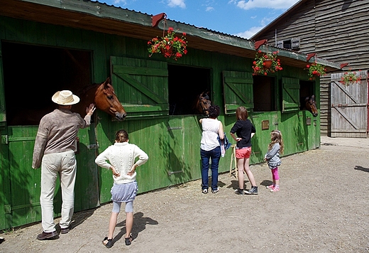 Stadnina koni w Ponnie