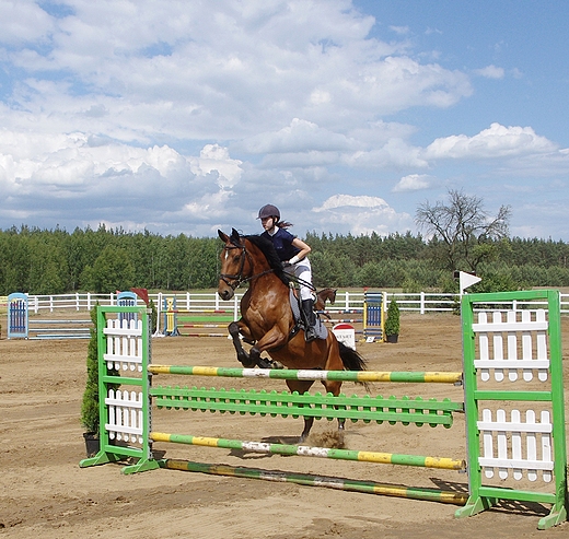 Regionalne Zawody Jedzieckie w Ponnie 9-10 czerwca 2012