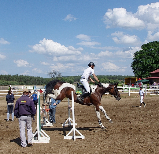 Regionalne Zawody Jedzieckie w Ponnie 9-10 czerwca 2012