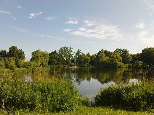 Park przy ulicy Tadeusza Kociuszki