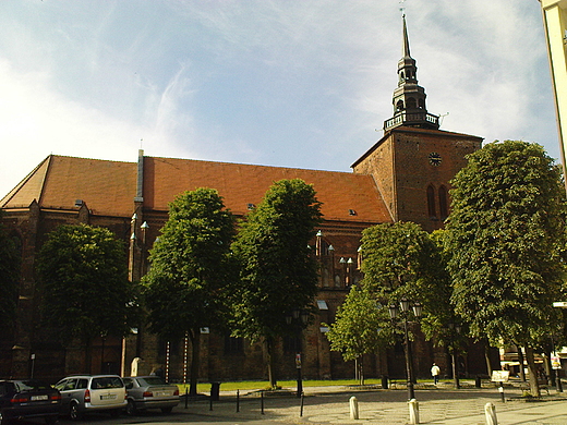 Koci Mariacki