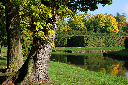 Nieborw - parkowy zauek