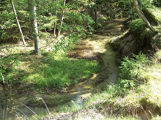 Struga Siedmiu Jezior midzy jeziorami Jele i Beczak.