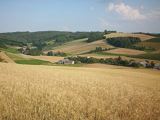 Zaburze - widok na Doliny