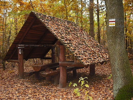 Kampinoski Park Narodowy. Uroczysko Michawka