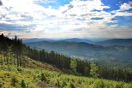 Widok ze Skrzycznego