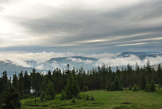 widok ze Schroniska Na Batniej