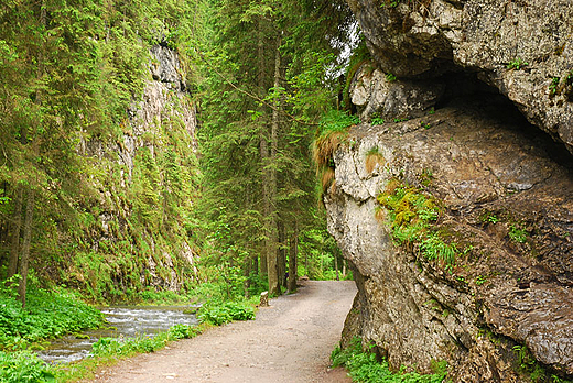 Dolina Kocieliska
