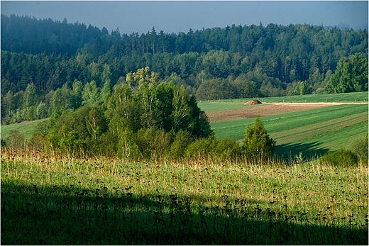 Suwalski Park Krajobrazowy - okolice Smolnik.