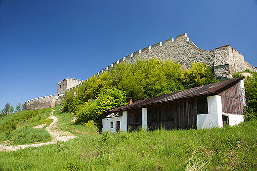 Szydw - fragment murw obronnych