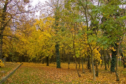 Jesie na Kalwarii Pakoskiej