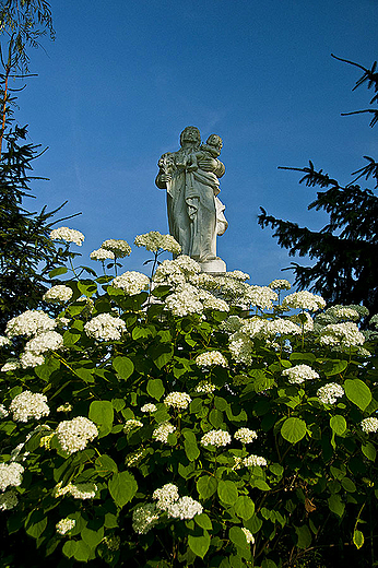 Ponidziaskie witki - w.Jzef w Krzyanowicach Dolnych