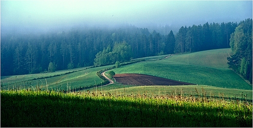 Suwalski Park Krajobrazowy - okolice Smolnik.