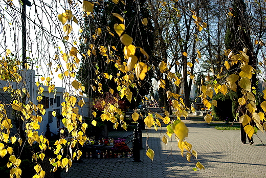 Wszystkich witych. czyca