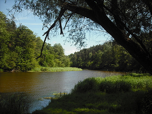 Szczypiorno. Nad Wkr.