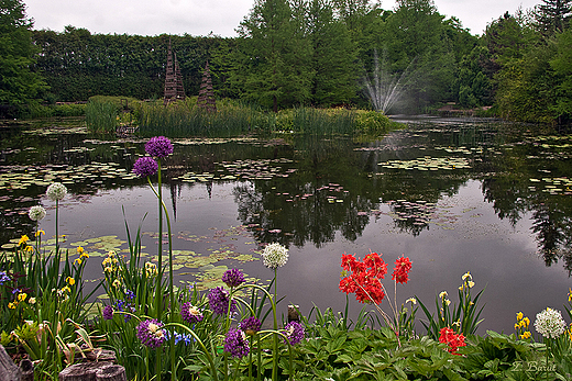 Arboretum w Bolestraszycach