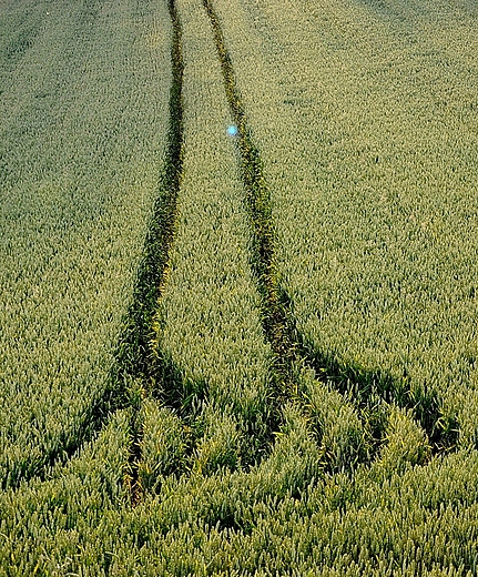 Leciutko, na palcach, taczya ze mn walca...